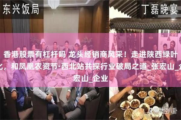 香港股票有杠杆吗 龙头经销商风采！走进陕西绿叶农化，和凤凰农资节·西北站共探行业破局之道_张宏山_企业