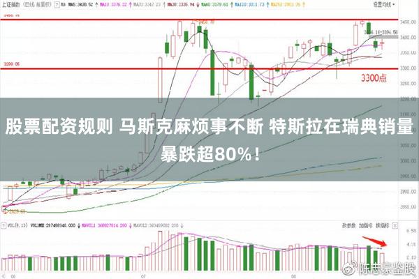 股票配资规则 马斯克麻烦事不断 特斯拉在瑞典销量暴跌超80%！