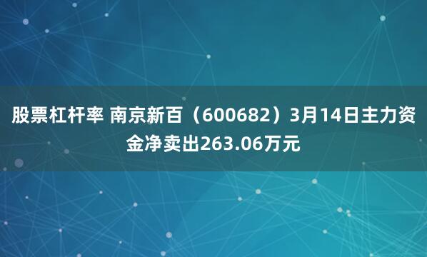 股票杠杆率 南京新百（600682）3月14日主力资金净卖出263.06万元