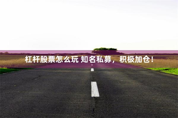 杠杆股票怎么玩 知名私募，积极加仓！
