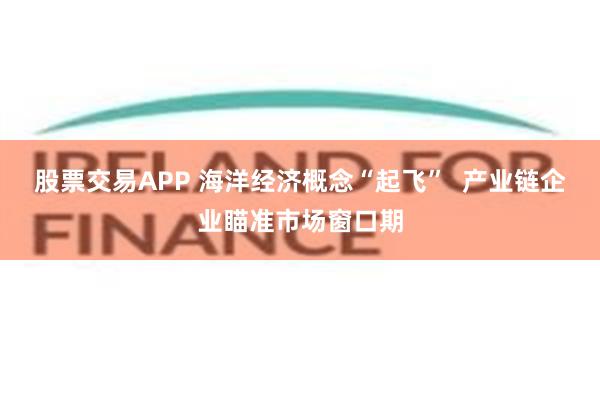 股票交易APP 海洋经济概念“起飞”  产业链企业瞄准市场窗口期